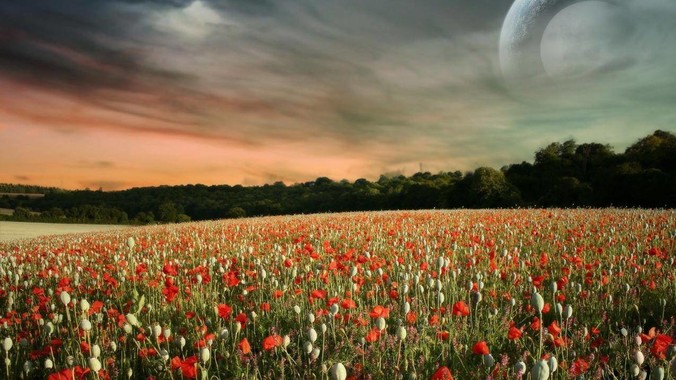 为什么一直宣传爱国的华为连***都用的是外国***？